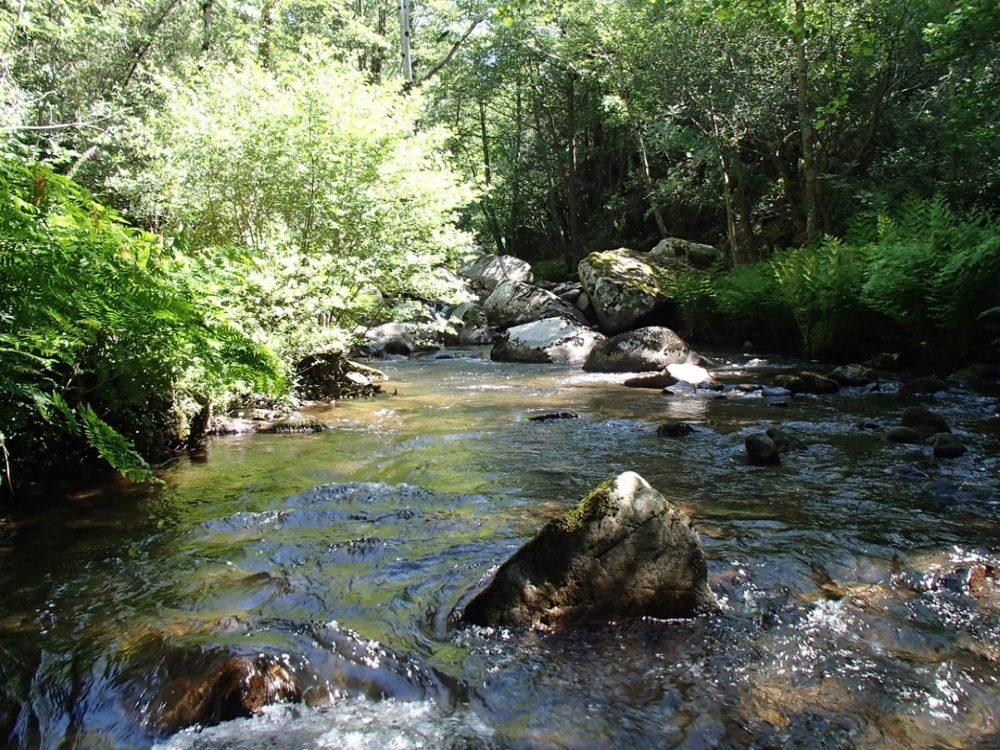 river fishing spots in Aude