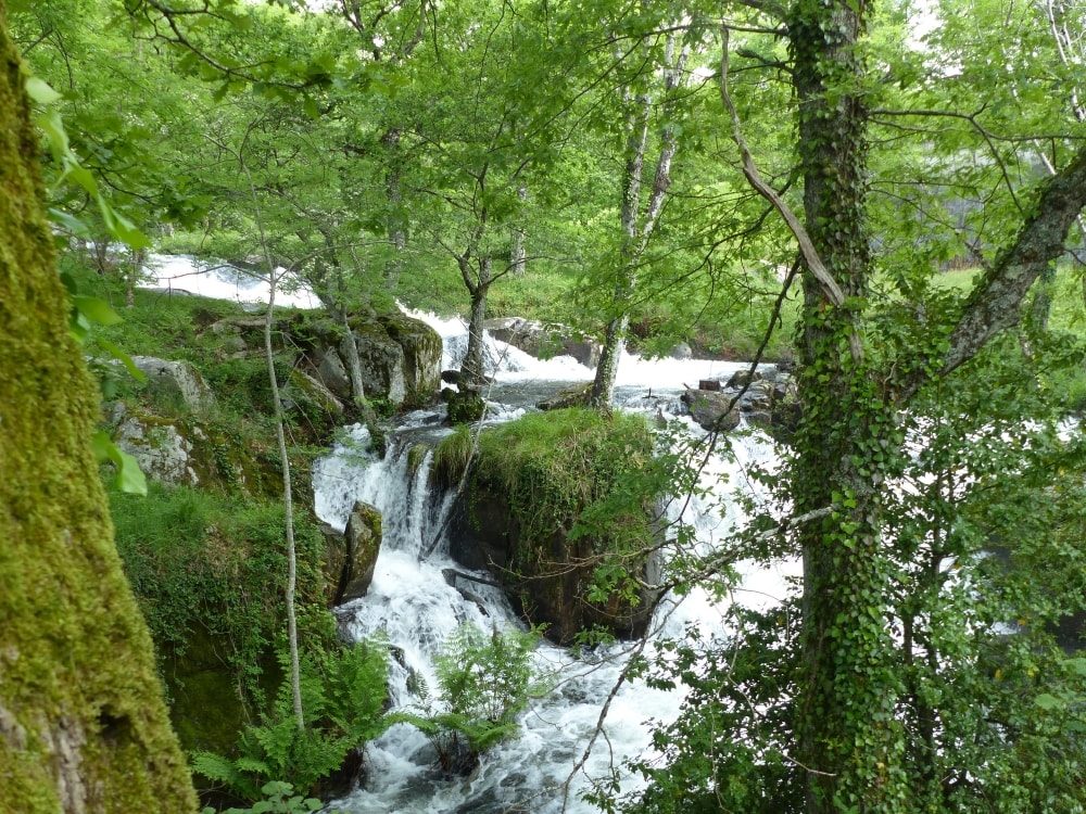 pêche à la truite dans l'Aude