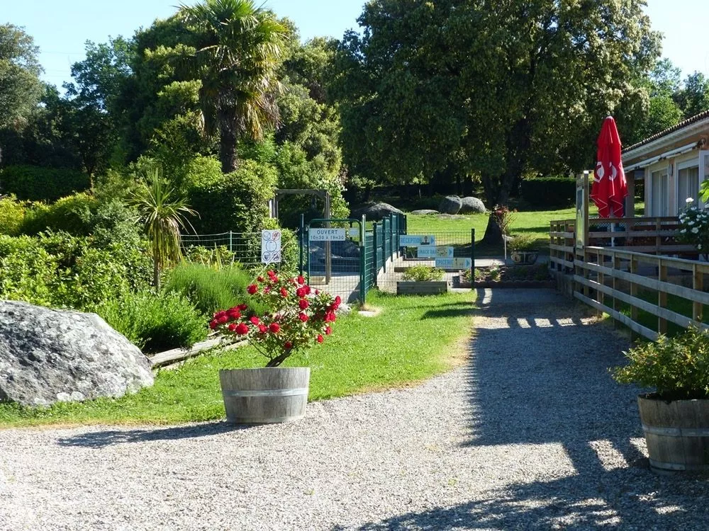 camping Carcassonne pour la famille