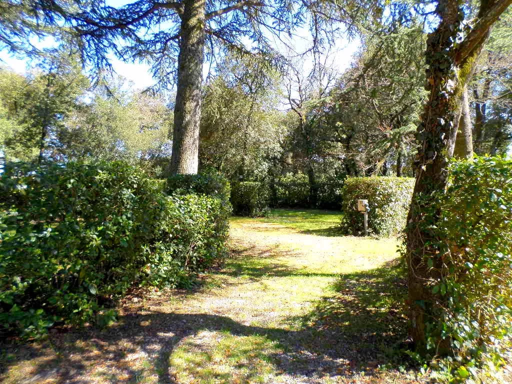 camping arboré avec de l'ombre dans l'Aude