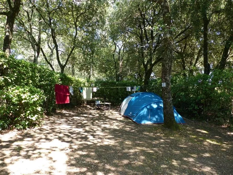 emplacement de tente dans l'Aude - Carcassonne